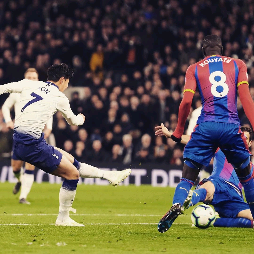 一个惊人的 一个惊人的